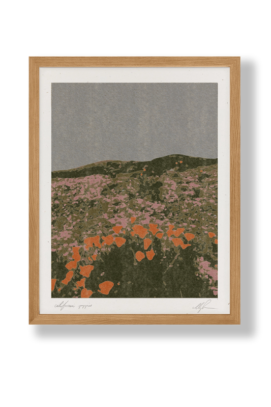 Cocoshalom California Poppies Art Print