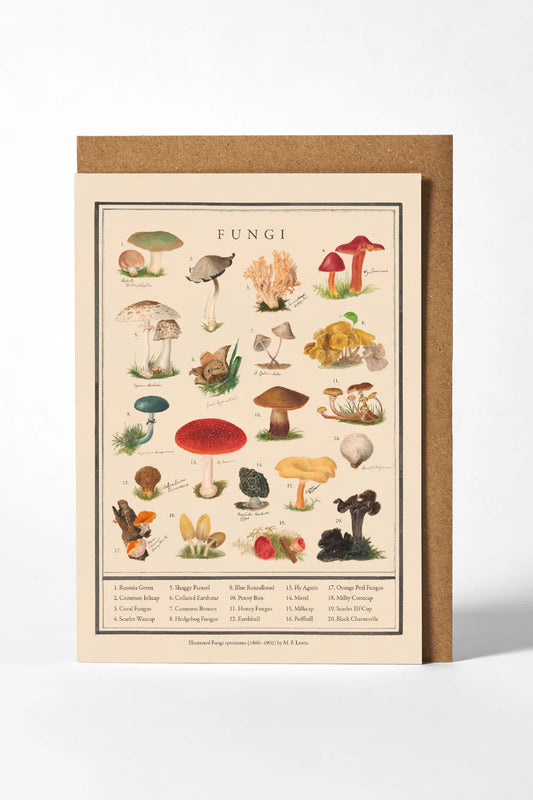 Greetings Card - Fungi
