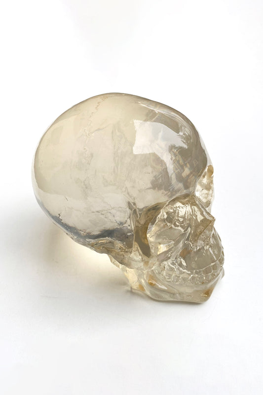 Vintage Lucite Skull