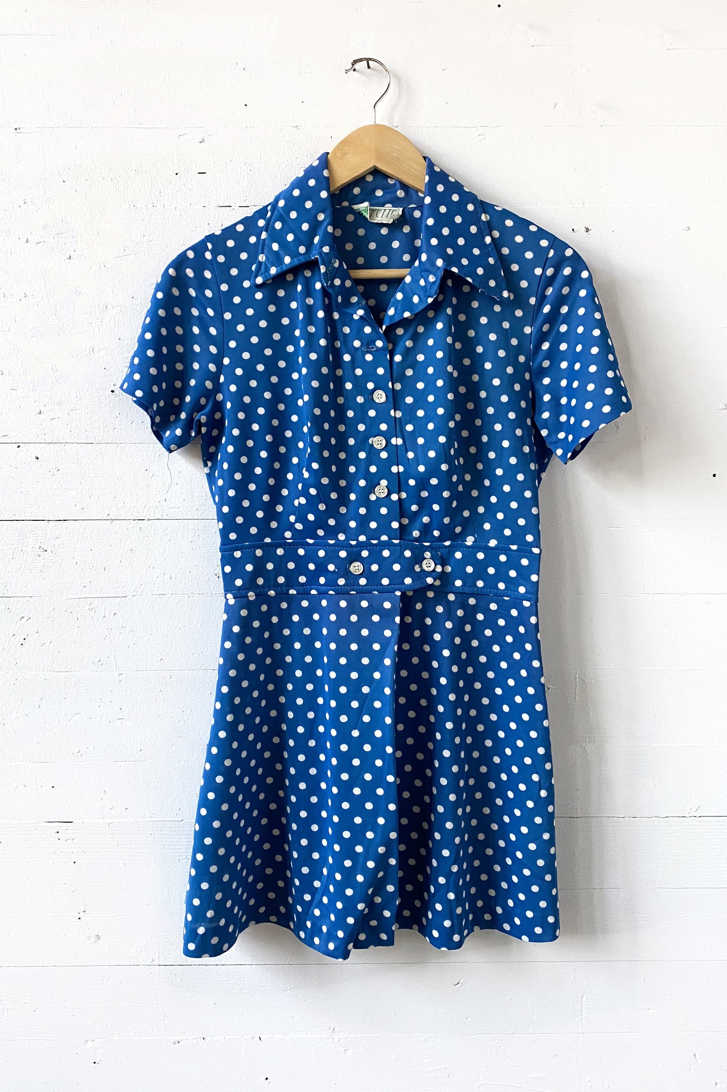 Vintage Wippette Blue Polka Dot Dress